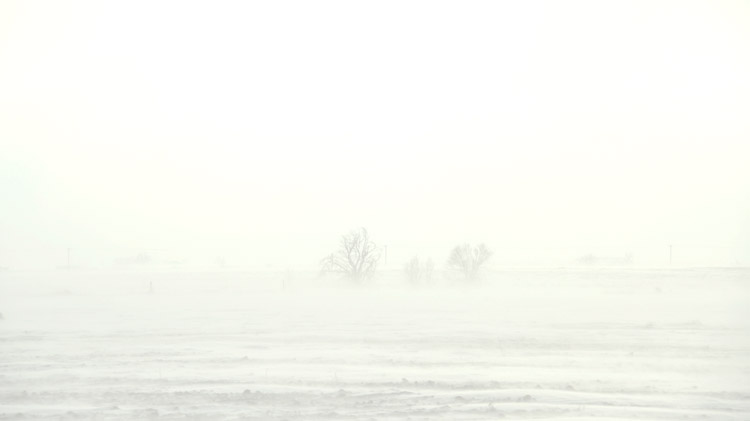 Near white-out conditions viewed from the road.
